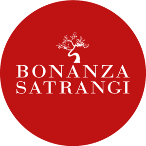 Bonanza logo