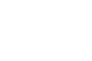 OFFICIAL SELECTION - L.A. Neo Noir Novel Film Script Online Festival - 2017