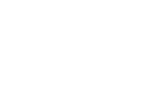 OFFICIAL SELECTION - TIF Video Challenge Photography Contest and Story Challenge - 2016