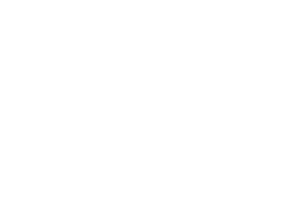 OFFICIAL SELECTION - Ukrainian International Film Festival BRUKIVKA - 2018